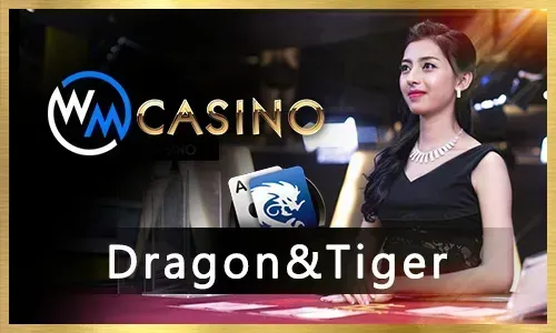 Live Game Show with a charismatic host and a large spinning wheel
